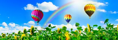 Centrum psychoterapii i psychologii. Siedlce